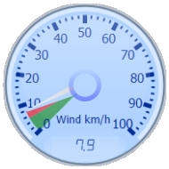 Wind Gauge
